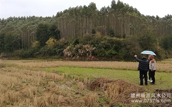 阿里地区陈老师带着爱徒寻龙点穴